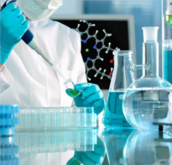 技術(shù)?法律サポート